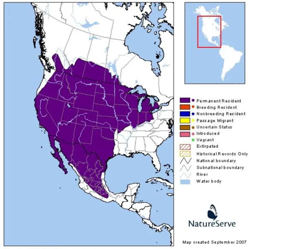 american-badger-range-map