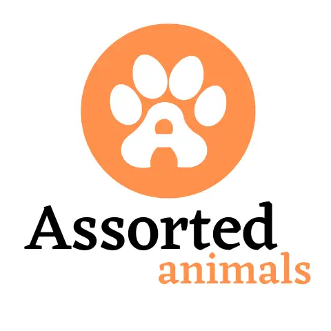 assorted-animals