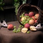 what-do-opossums-eat