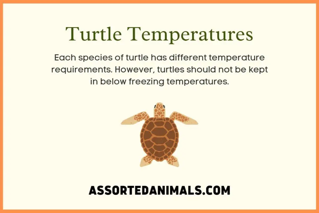 turtle-temperatures