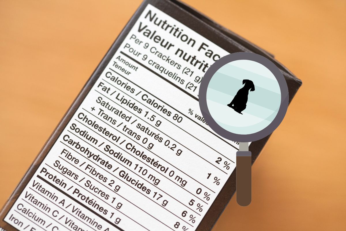 The Ultimate Guide: 6 Tips for Reading Dog Food Labels