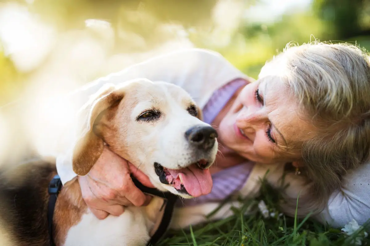 The Fitness Benefits of Dogs for Older Adults