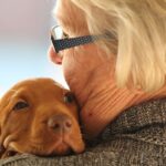 Senior-Savvy Dogs: Breeds That Suit Older Adults