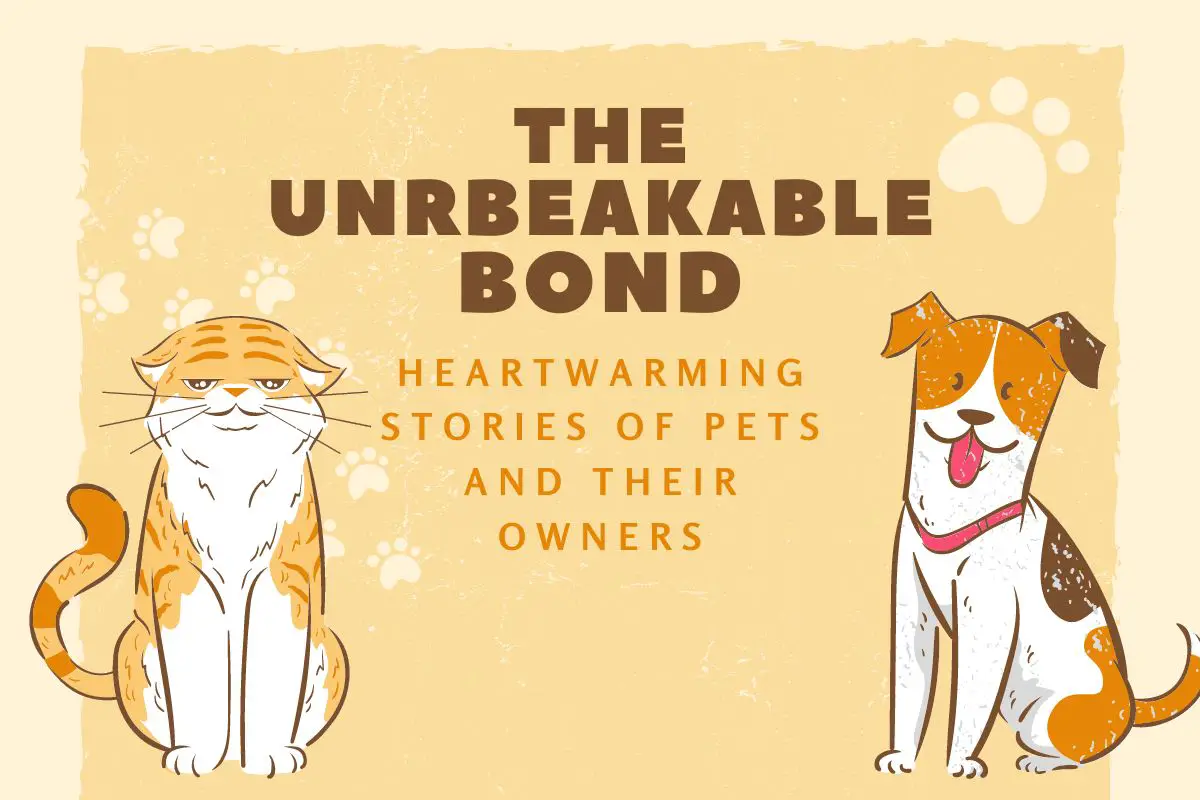 Unwavering Companionship: Heartfelt Tales of Dogs and Their Humans