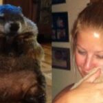 post-pics-new-woodchuck