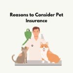 pet-insurance