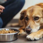 signs-your-dog-has-food-intolerance